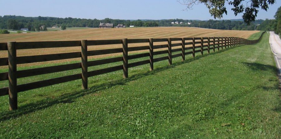 Farm and Ranch